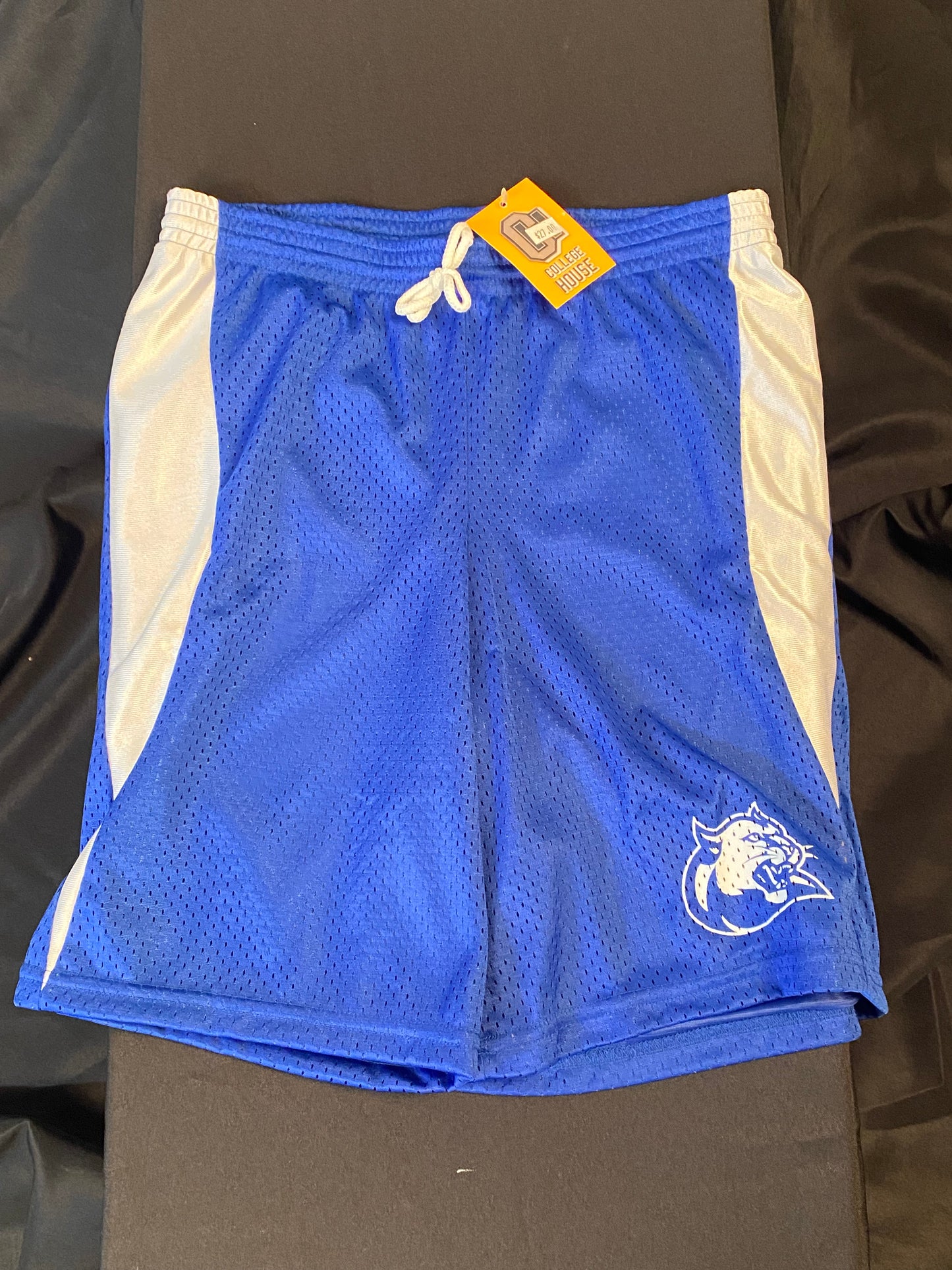Mesh Shorts