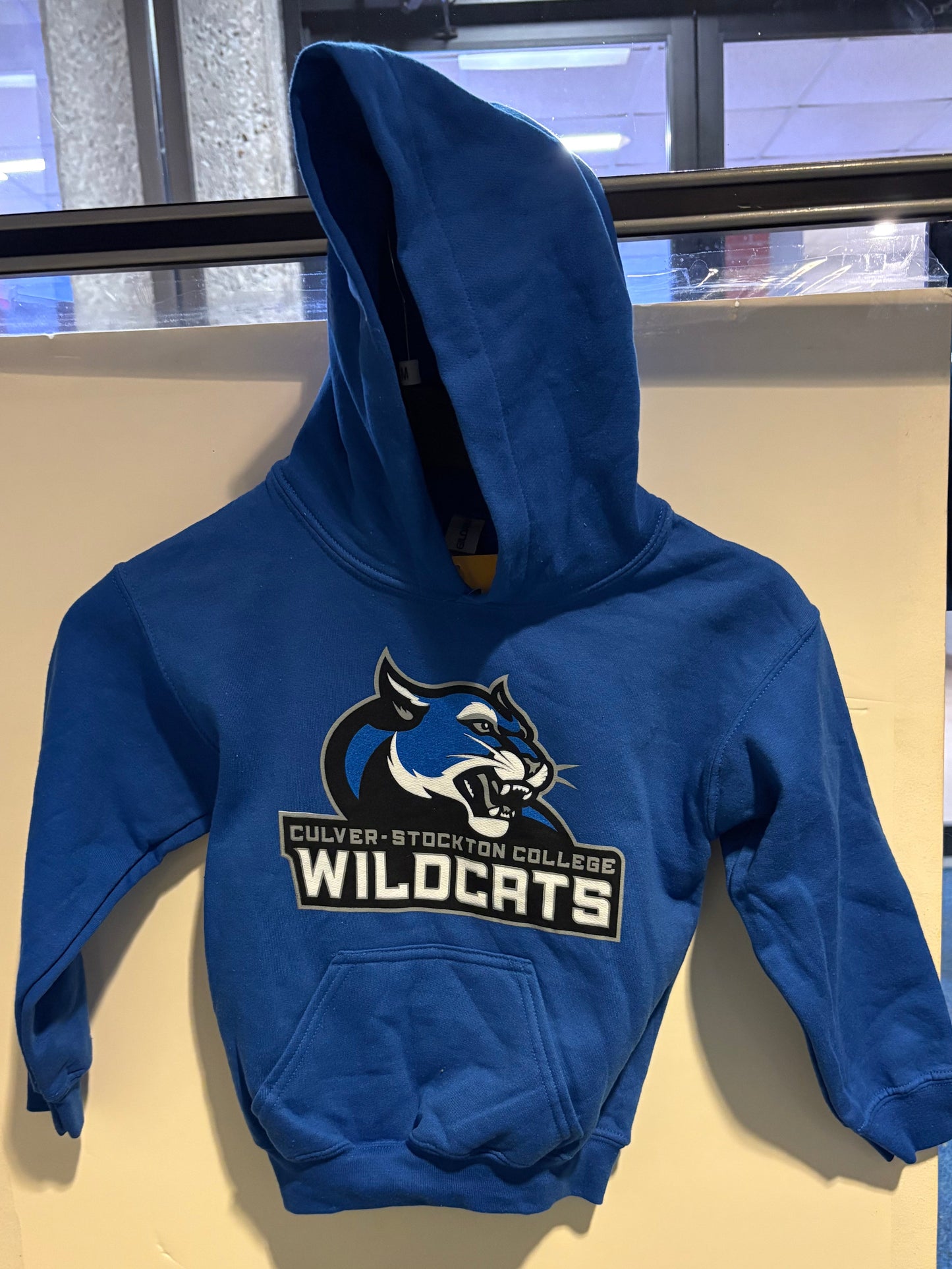 Youth Blue Hoodie