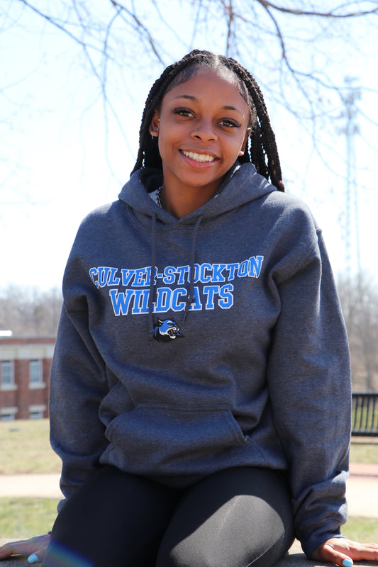 Grey or Blue Wildcat Hoodie