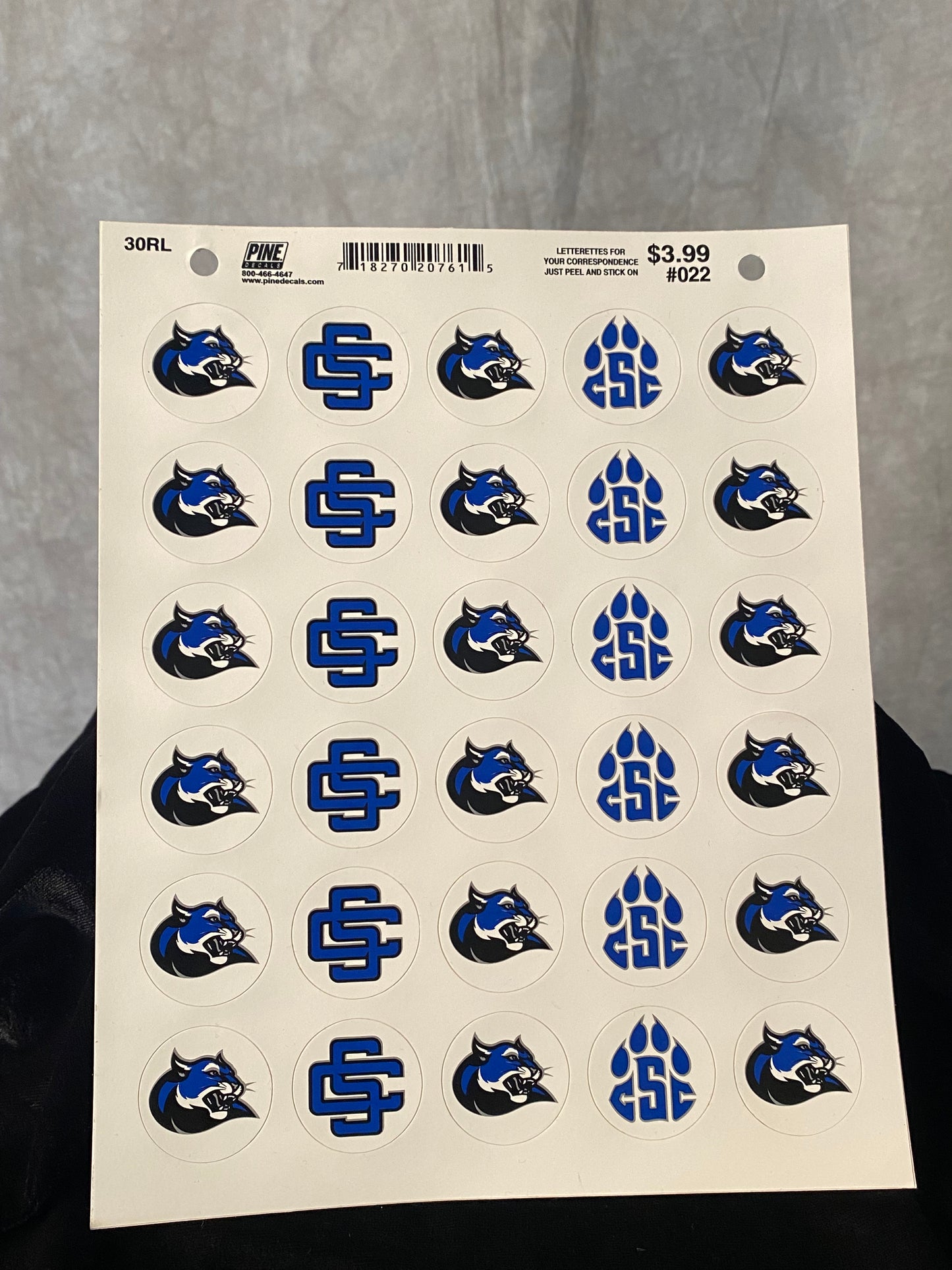 Wildcats Sticker Sheet