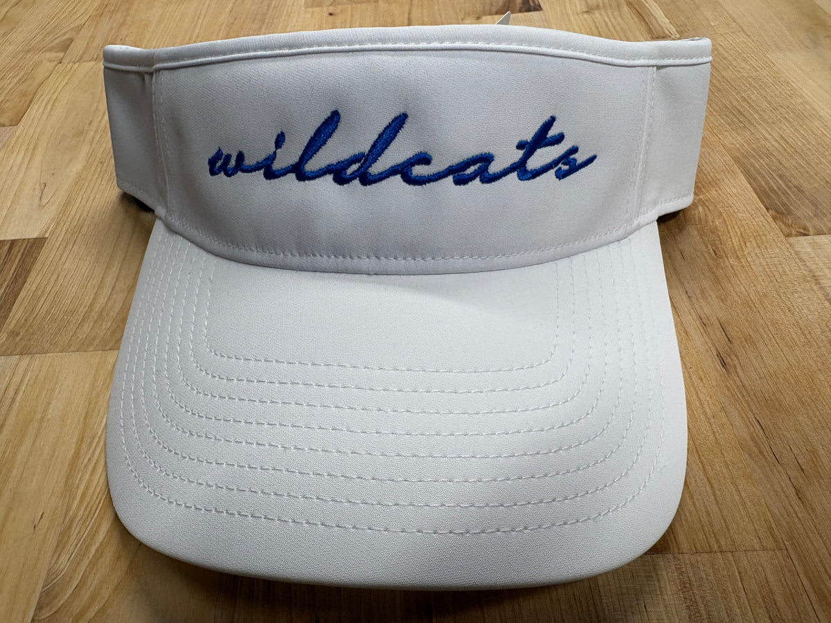 Visor